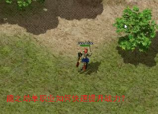 ��֮�ٵ�ְҵ��ο�������ս����