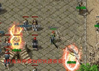 8�¹���������ο��ٻ�ȡ��