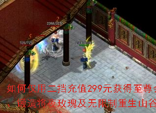 如何仅用二挡充值299元获得至尊会员、锻造将夜玫瑰及无限制重生山谷特权? 如何仅用二挡充值299元获得至尊会员、锻造将夜玫瑰及无限制重生山谷特权?