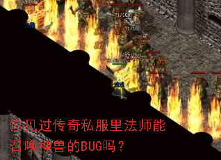 你见过传奇私服里法师能召唤神兽的BUG吗? 你见过传奇私服里法师能召唤神兽的BUG吗?