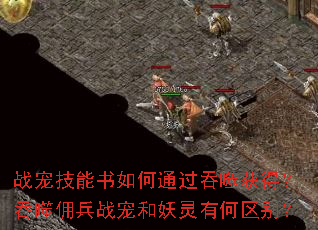 ս�輼�������ͨ�����ɻ�ã�����Ӷ��ս��������к�����