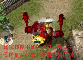 ս�輼�������ͨ�����ɻ�ã�����Ӷ��ս��������к�����