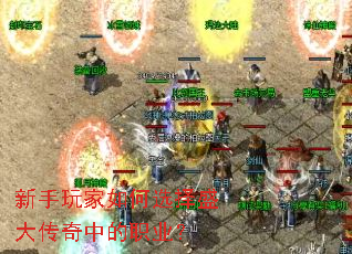 ����������ѡ��ʢ�����е�ְҵ��