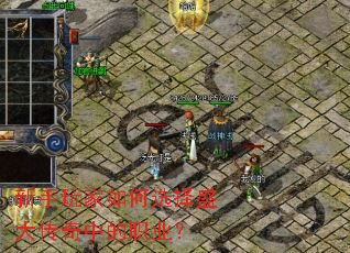 ����������ѡ��ʢ�����е�ְҵ��