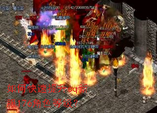 ��ο�������cq�·�176��ɫ�ȼ���