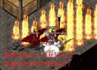 最后的净土?神秘陨石坑隐藏着怎样的传奇秘密? 最后的净土?神秘陨石坑隐藏着怎样的传奇秘密?