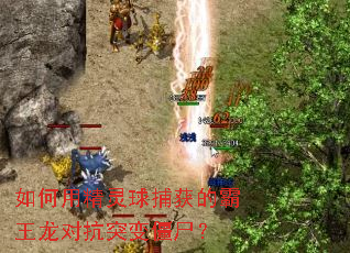 ����þ����򲶻�İ������Կ�ͻ�佩ʬ��