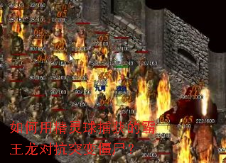 ����þ����򲶻�İ������Կ�ͻ�佩ʬ��