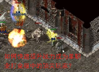 ��ο�������ս����Ϊ��ְҵ�����еĶ�����ң�