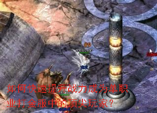 ��ο�������ս����Ϊ��ְҵ�����еĶ�����ң�