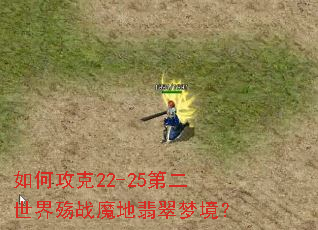 ��ι���22-25�ڶ�������սħ������ξ���