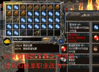 ���������ʥ��֮����������������ְҵս����