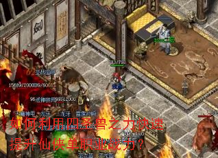 ���������ʥ��֮����������������ְҵս����