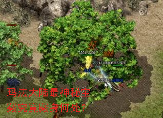 �귨��½�����ر��ؾ��������δ���