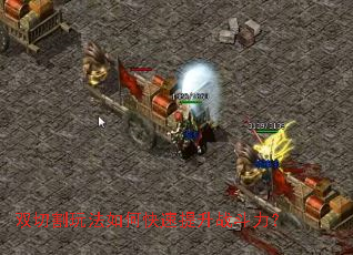 ˫�и��淨��ο�������ս������