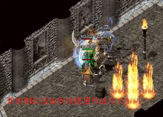 ˫�и��淨��ο�������ս������