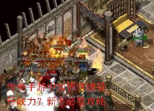 ������������ο�������ս�������ֱؿ�����