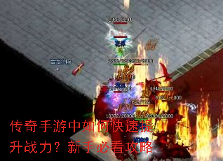 ������������ο�������ս�������ֱؿ�����