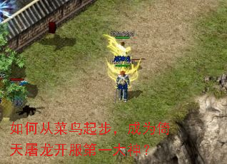 ��δӲ����𲽣���Ϊ��������������һ����