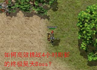 ��θ�Ч��ս4Сʱˢ�µ��ռ����Boss��