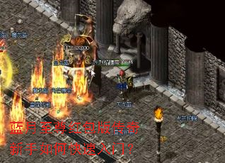 �����������洫��������ο������ţ�