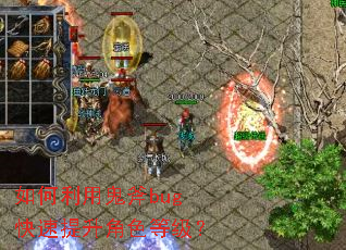 ������ù���bug����������ɫ�ȼ���