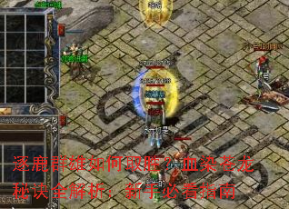 ��¹Ⱥ�����ȡʤ��ѪȾ�����ؾ�ȫ���������ֱؿ�ָ��