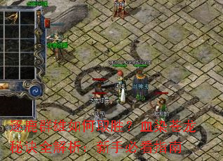 ��¹Ⱥ�����ȡʤ��ѪȾ�����ؾ�ȫ���������ֱؿ�ָ��