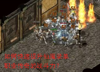 ��ο���������ħ¼��ְҵ�����ս������