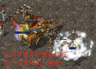 ������ն�а��ҩʦ�Ķ��ž�����ս�����ԣ�