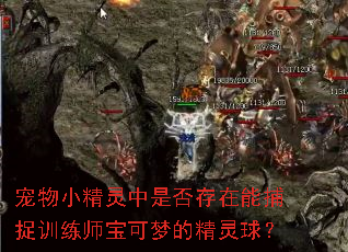 ����С�������Ƿ�����ܲ�׽ѵ��ʦ�����εľ�����