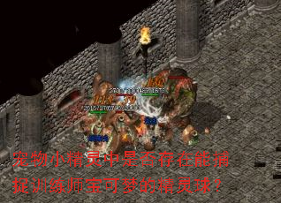 ����С�������Ƿ�����ܲ�׽ѵ��ʦ�����εľ�����