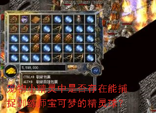 ����С�������Ƿ�����ܲ�׽ѵ��ʦ�����εľ�����