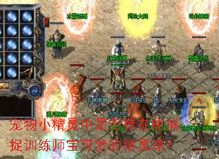 ����С�������Ƿ�����ܲ�׽ѵ��ʦ�����εľ�����