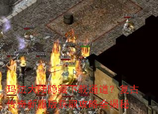 �귨��½��������ͨ�������Ŵ����·����ȡ����ȫ����