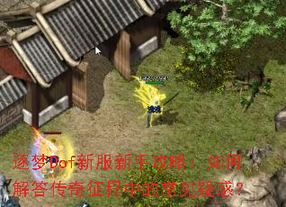 ����Dof�·����ֹ��ԣ���ν���������еĳ����ɻ�