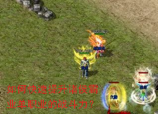 ��ο�����������ҵ��ְҵ��ս������