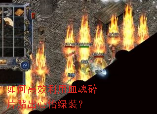 ��θ�Ч����Ѫ����Ƭ�ĳ�������װ��