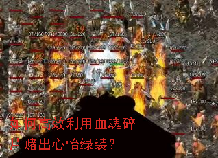 ��θ�Ч����Ѫ����Ƭ�ĳ�������װ��