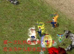 ��һ������Ѫ���棬����Ӧ��ѡʲôְҵ�𲽣�