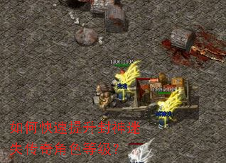 如何快速提升封神迷失传奇角色等级? 如何快速提升封神迷失传奇角色等级?