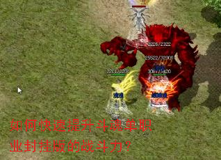 ��ο����������굥ְҵ��Ұ��ս������