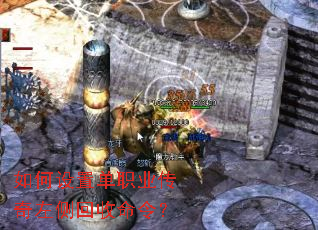������õ�ְҵ�������������