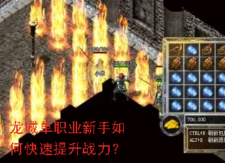 ���ǵ�ְҵ������ο�������ս����