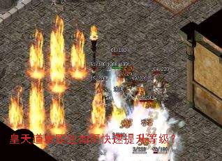皇天道单职业如何快速提升等级? 皇天道单职业如何快速提升等级?