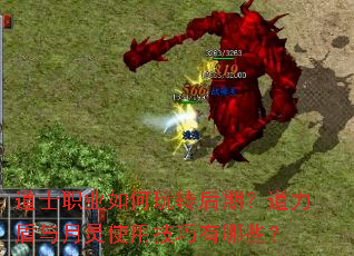 道士职业如何玩转后期?道力盾与月灵使用技巧有哪些? 道士职业如何玩转后期?道力盾与月灵使用技巧有哪些?