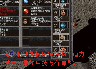 道士职业如何玩转后期?道力盾与月灵使用技巧有哪些? 道士职业如何玩转后期?道力盾与月灵使用技巧有哪些?