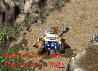 如何快速提升1.95皓月合击传奇角色等级? 如何快速提升1.95皓月合击传奇角色等级?