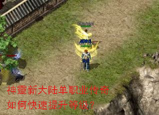 神靈新大陆单职业传奇如何快速提升等级? 神靈新大陆单职业传奇如何快速提升等级?