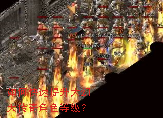 如何快速提升大幻天传奇角色等级? 如何快速提升大幻天传奇角色等级?
